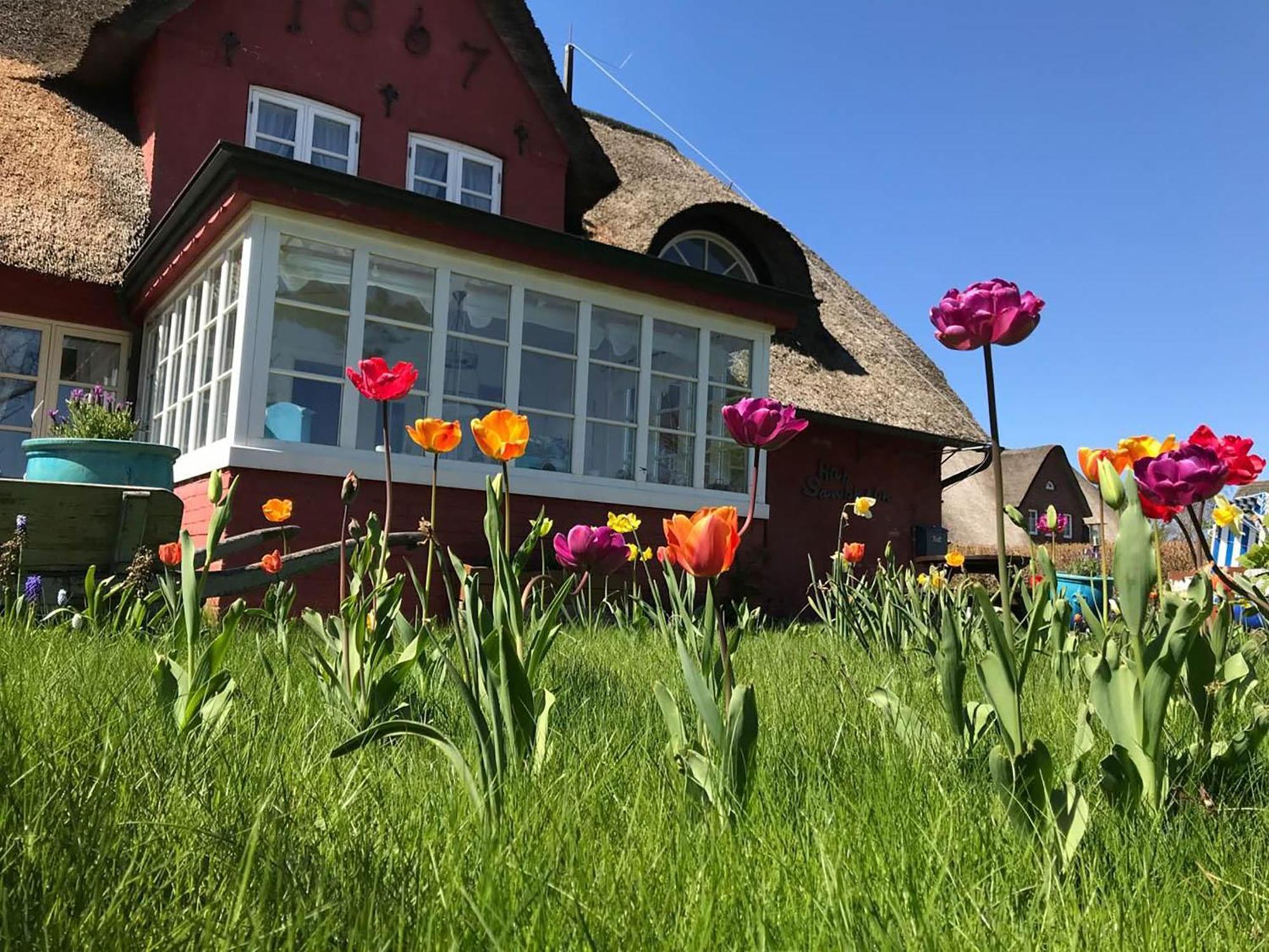 Hues Sanskiin Ferienwohnung *Hopelfask* Suddorf Exterior foto