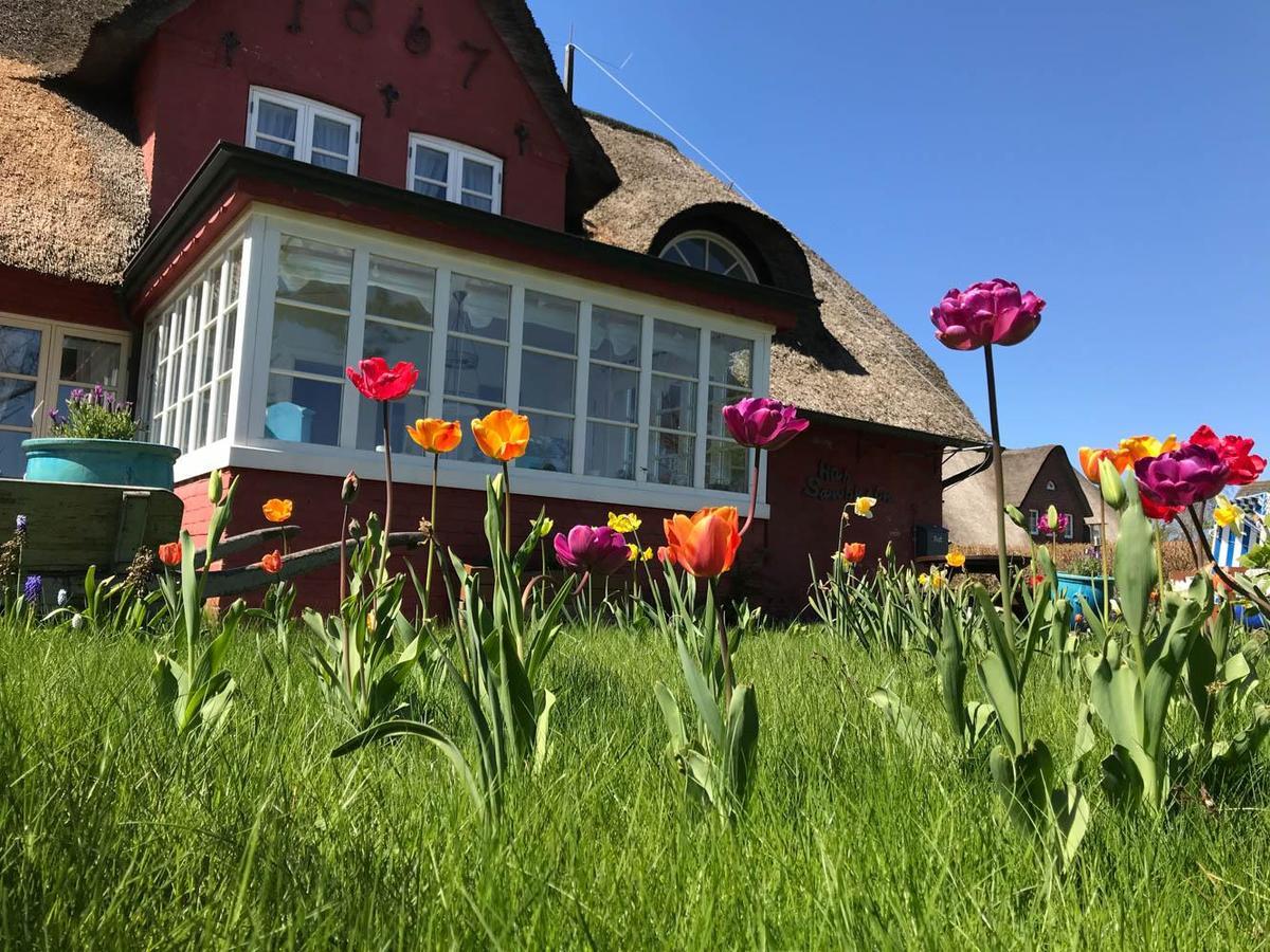 Hues Sanskiin Ferienwohnung *Hopelfask* Suddorf Exterior foto